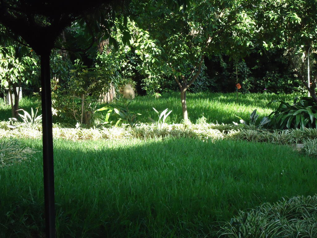 B&B Cottage Dei Consoli Sant'Agata Li Battiati Exteriör bild
